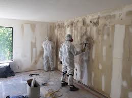 Mold Inspection